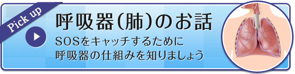 Pixk up 呼吸器（肺）のお話 SOSをキャッチするために呼吸器の仕組みを知りましょう