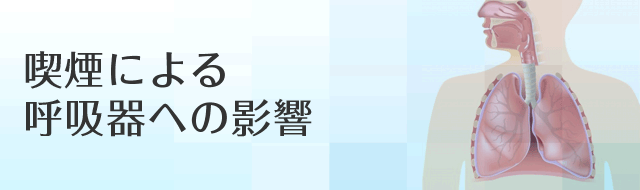 喫煙による呼吸器への影響