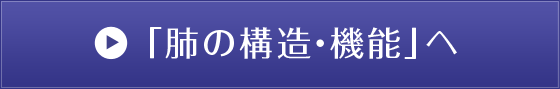 「肺の構造・機能」へ