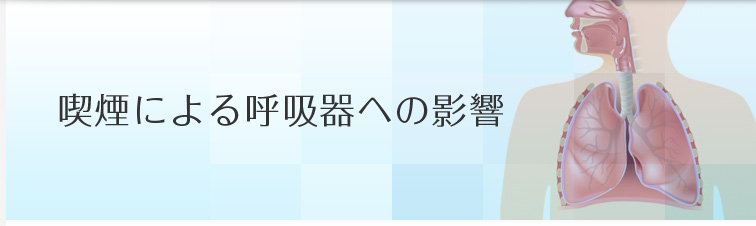 喫煙による呼吸器への影響