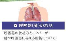 呼吸器(肺)のお話